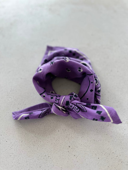 Oscar mini scarf - purple