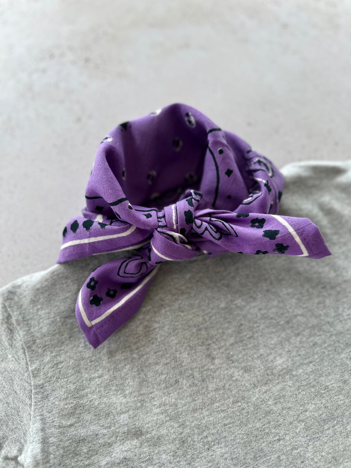 Oscar mini scarf - purple
