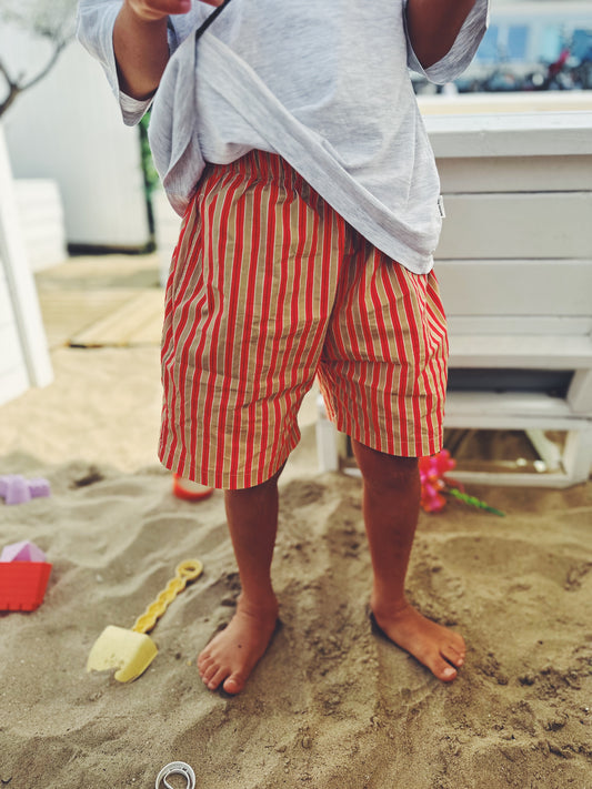 Bastien nice stripe pants - orange-beige