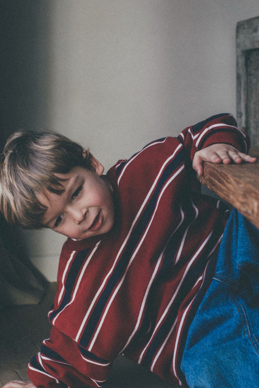 Dotti stripes sweater - wine red