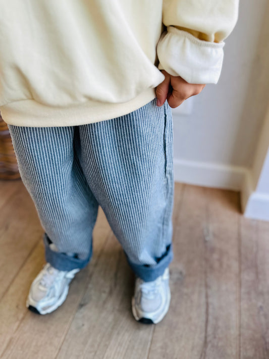 Sibi line pants - navy