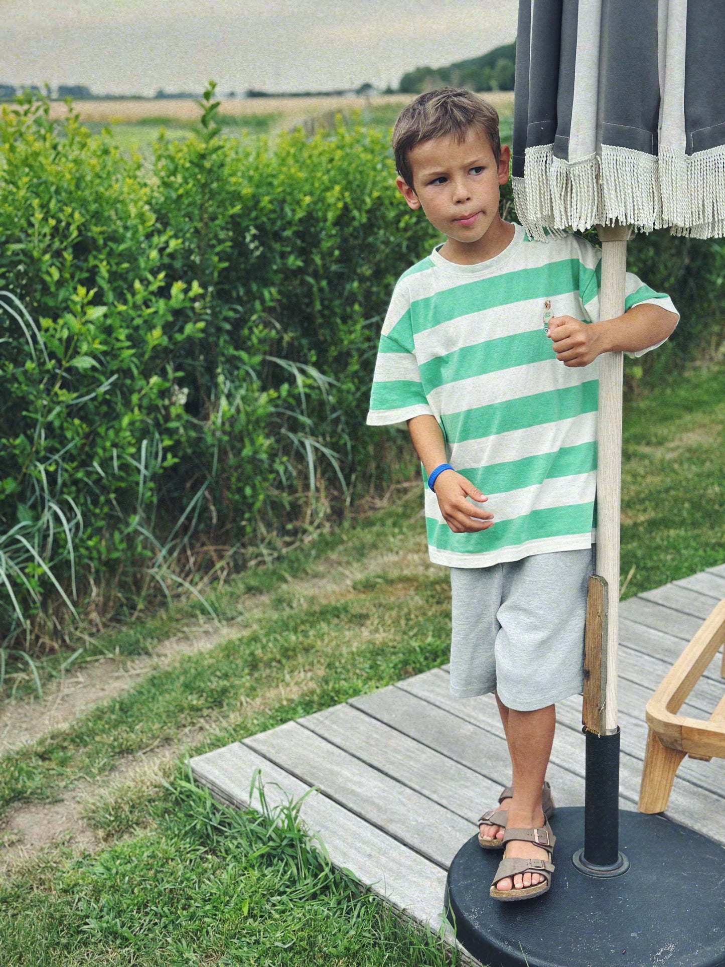 Bear bold stripe tee - lime-cream