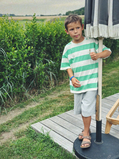 Bear bold stripe tee - lime-cream