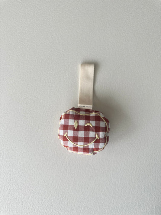 Pacifier cloth pomme - checked bisous brique