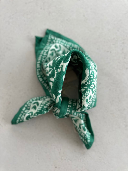 Mumbai mini scarf - spar green
