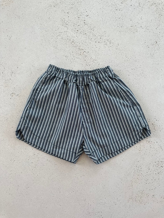 Joe stripe pants - navy
