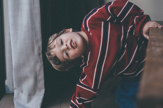 Dotti stripes sweater - wine red