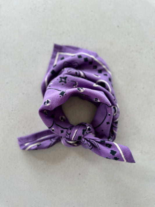 Oscar mini scarf - purple