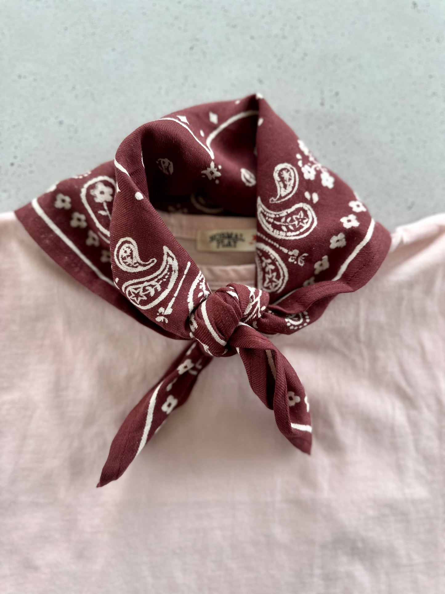 Oscar mini scarf - wine/butter