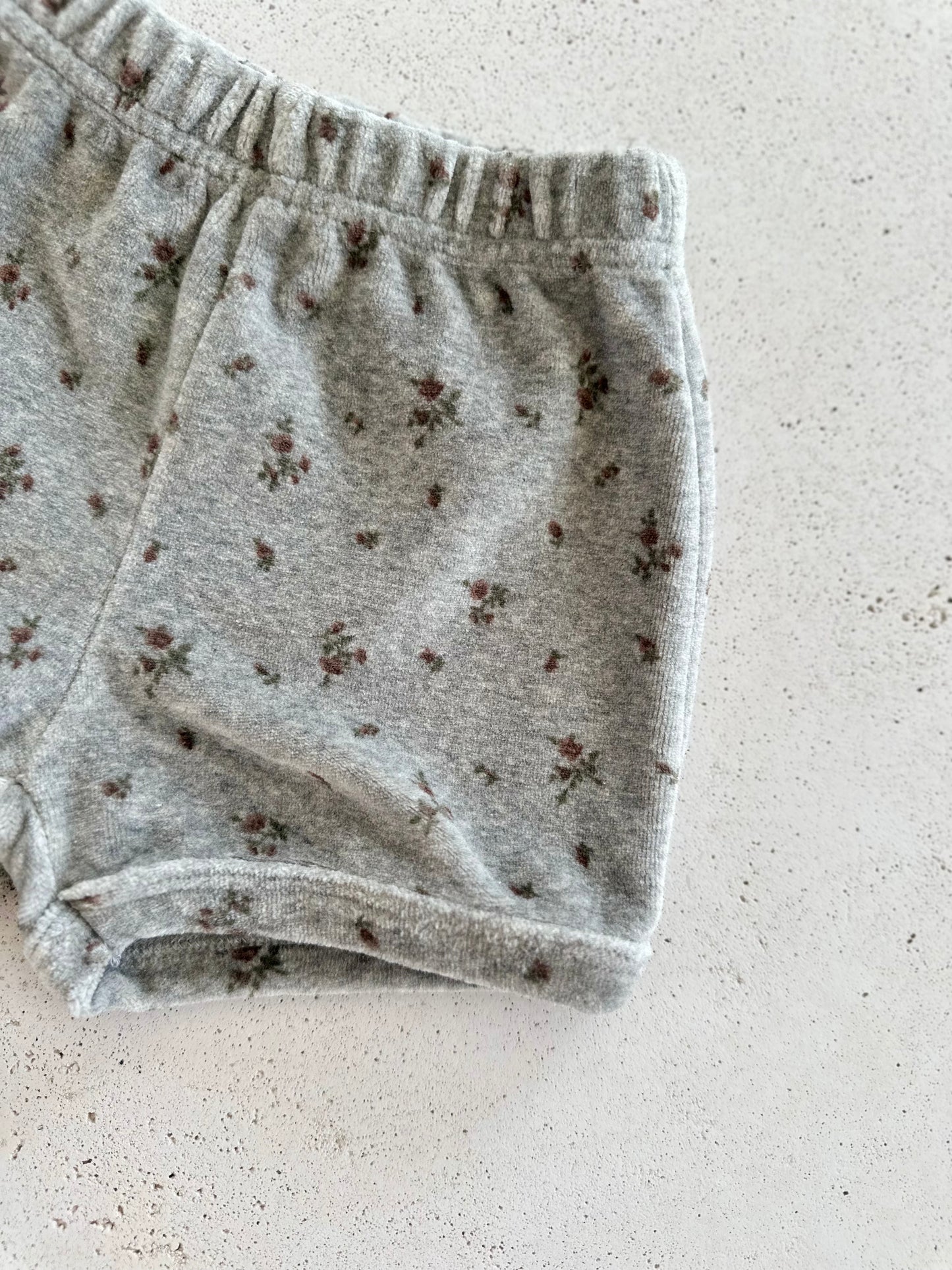 French flower velour shorts - grey