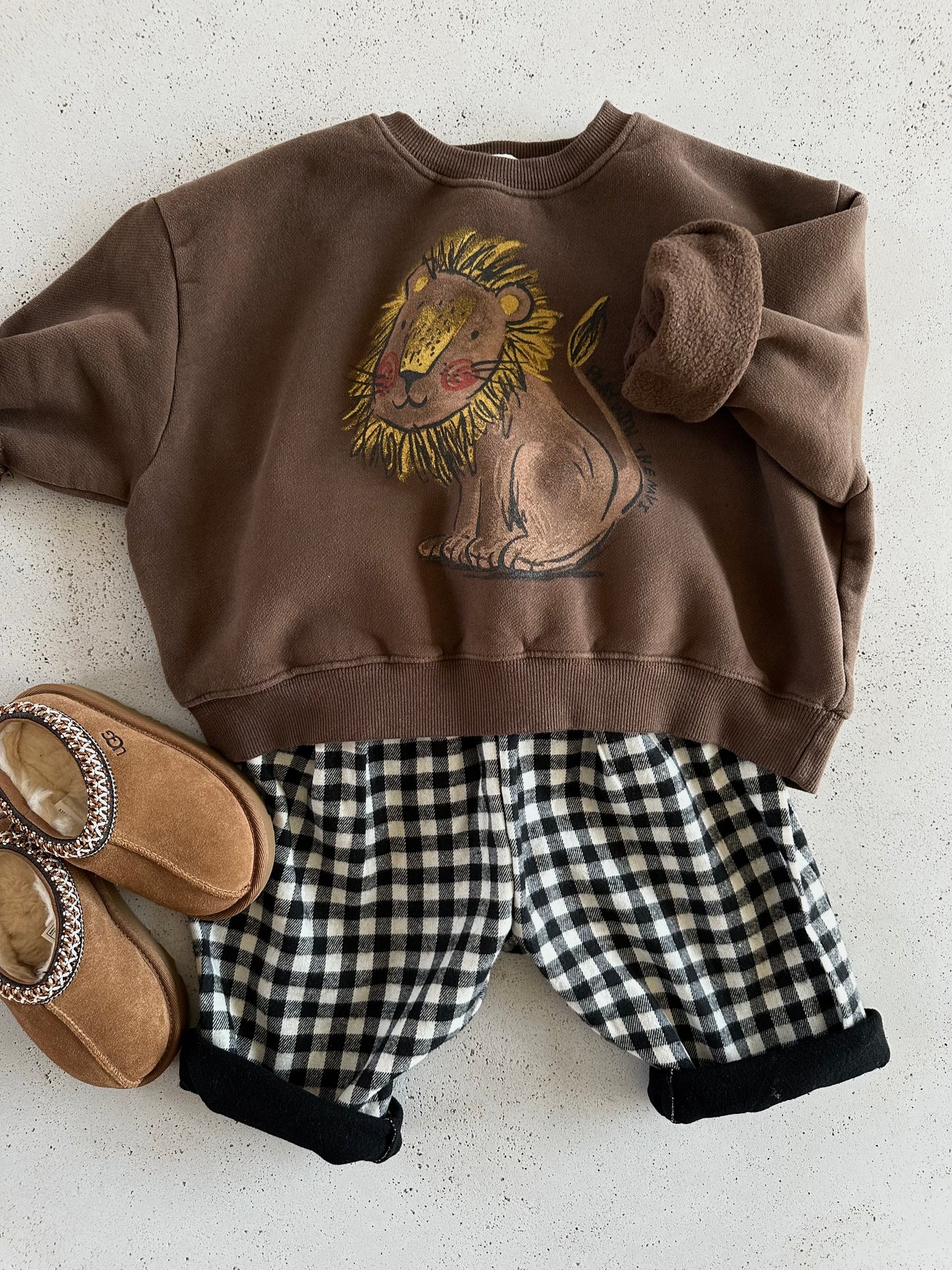 Cozy lion sweater - brown