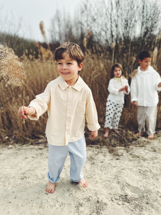 Sibi line pants - light blue