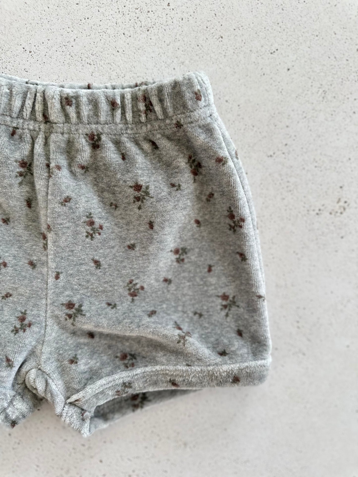 French flower velour shorts - grey